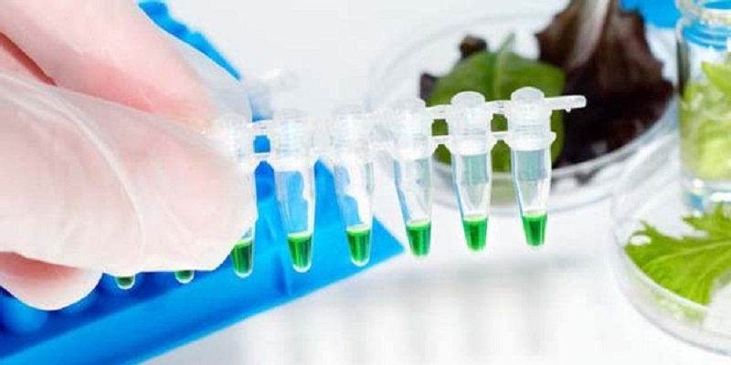 Automated and Rapid Microbiological Tests Market - Analysis & Consulting (2019-2025)